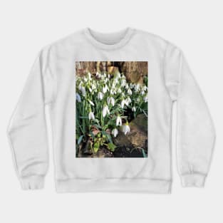 snowdrop Crewneck Sweatshirt